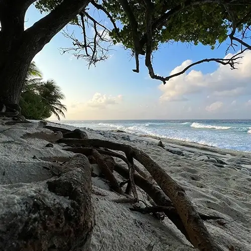 Thoondu Beach Fuvahmulah